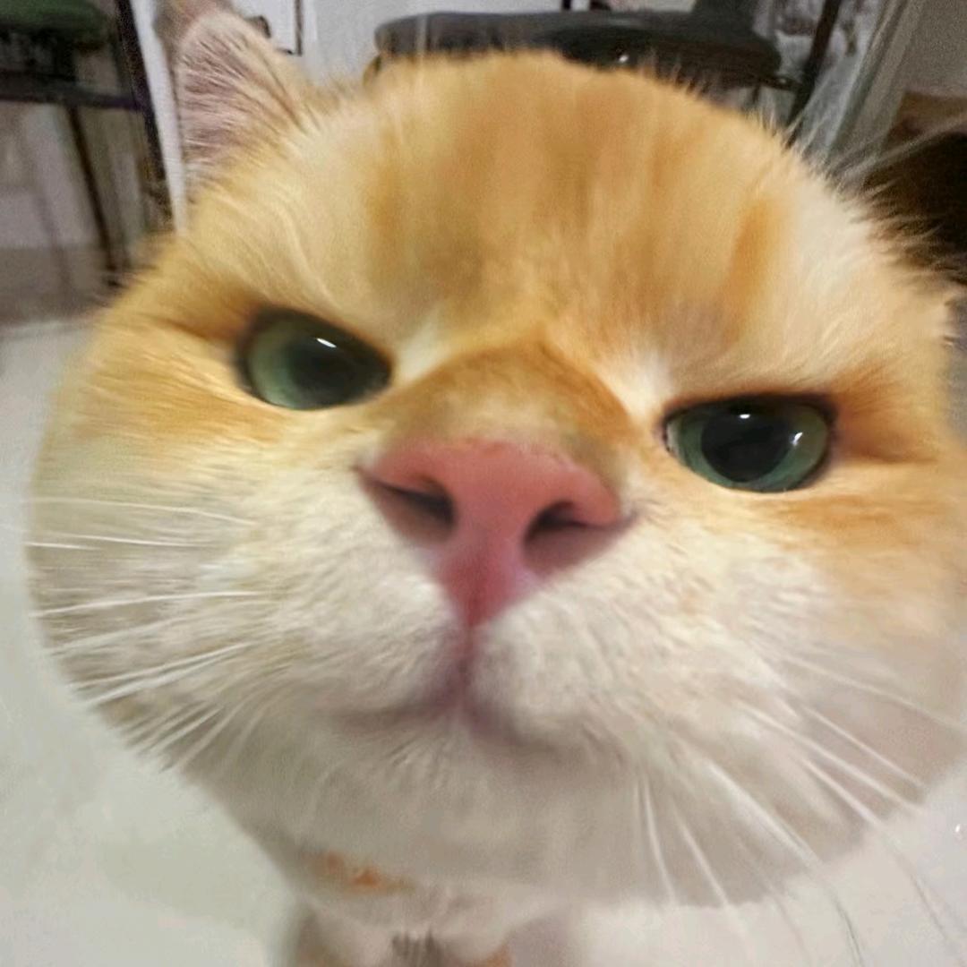 疯癫女大学生（被迫交作业版）