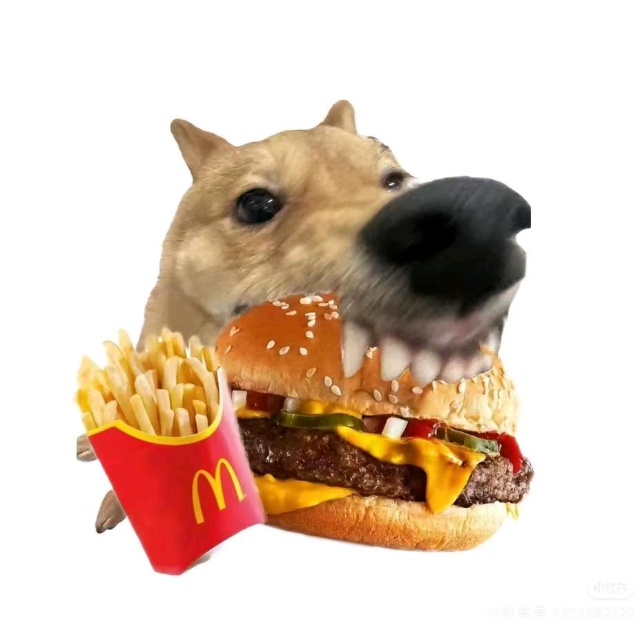 玩damn玩意儿