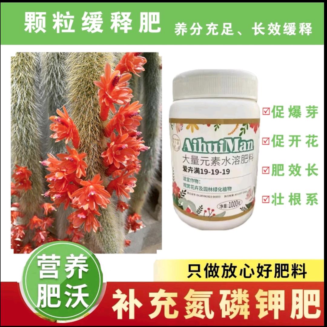 小洛鲜花