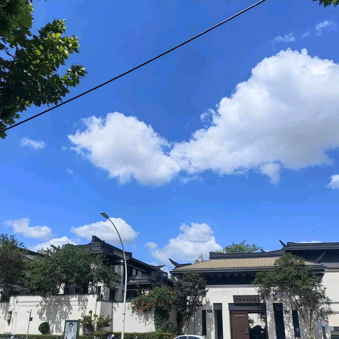 随心自在