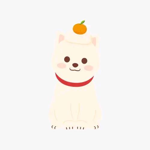 🐼