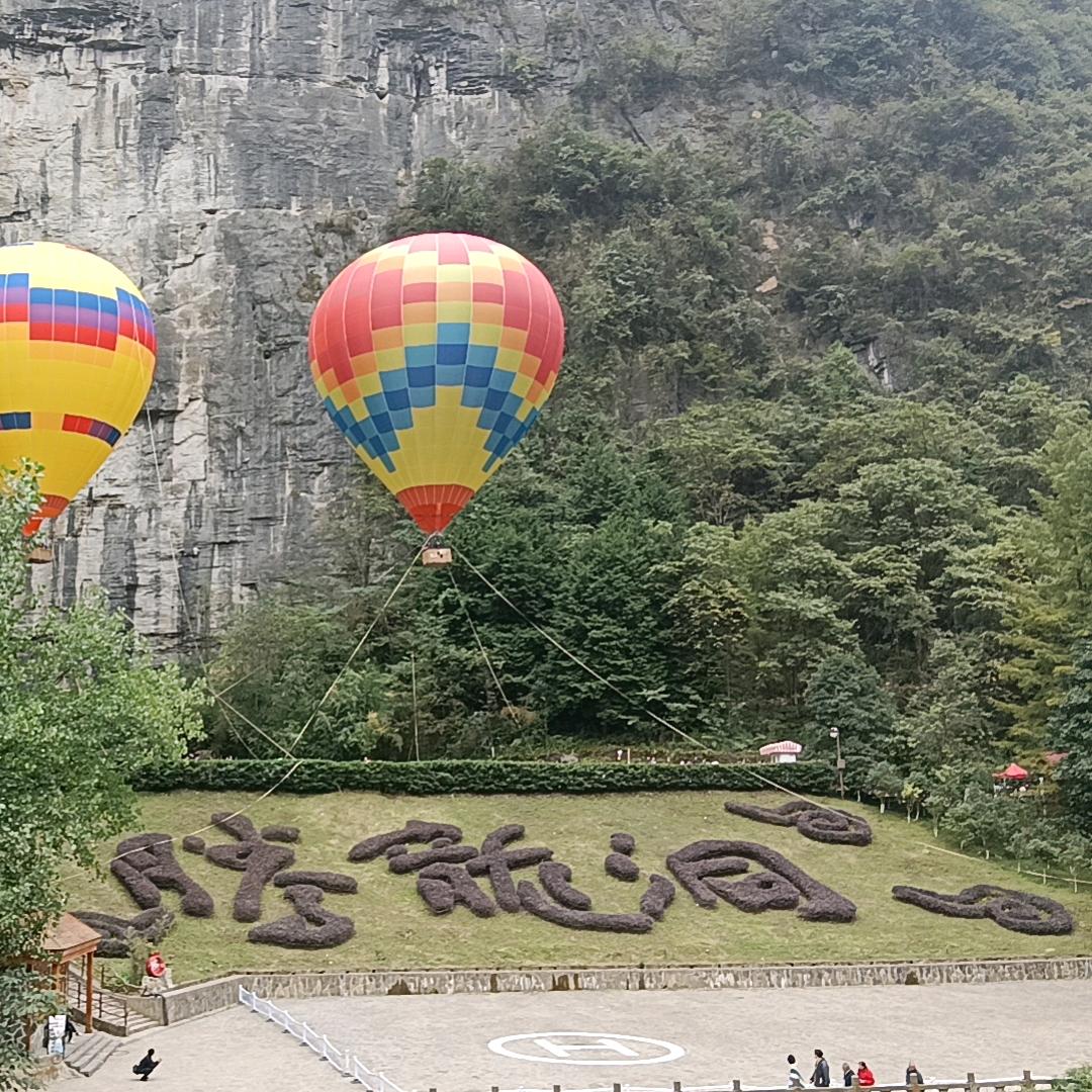 东北人  在捂汉