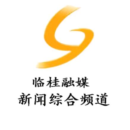 临桂融媒综合频道