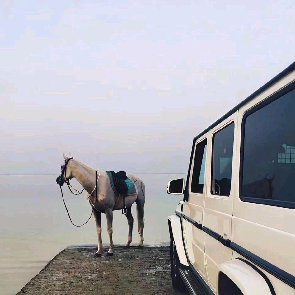 小马先生灬