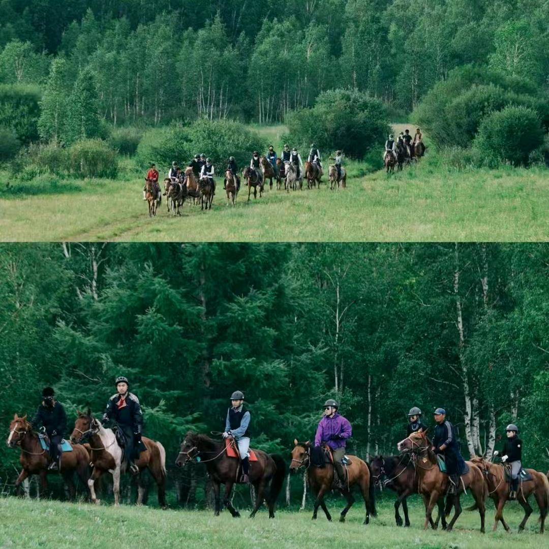 呼伦贝尔骑马训练营