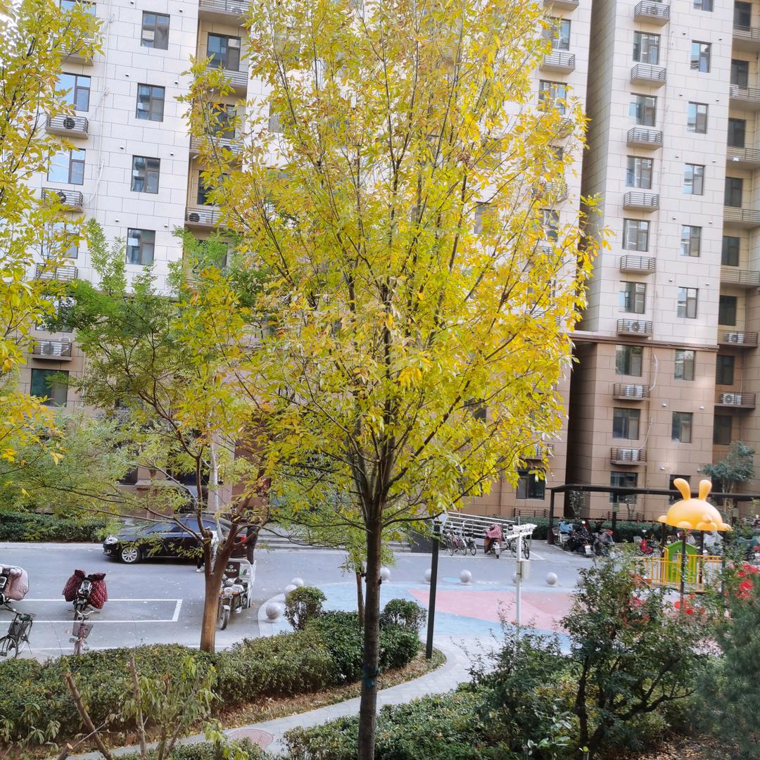 张小小🦄