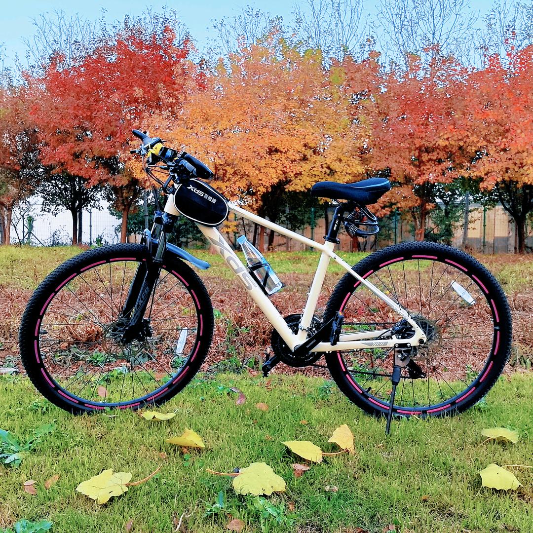 💍kerry小赵赵💍