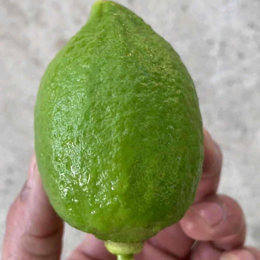 旺旺抖音团购商场，柠檬超市