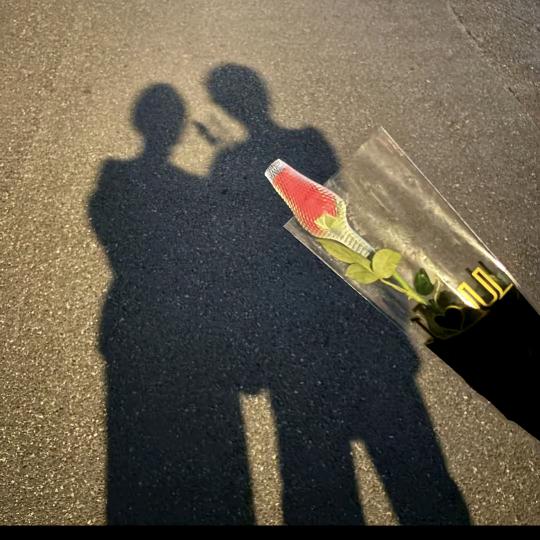 不是袁湘琴的江直树