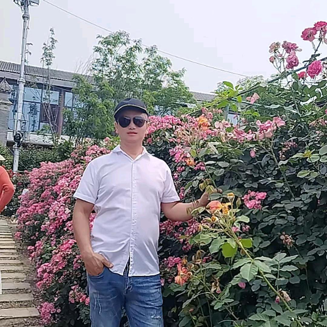 岳口波哥