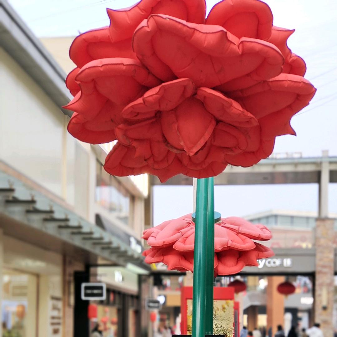 小布丁睫毛弯弯