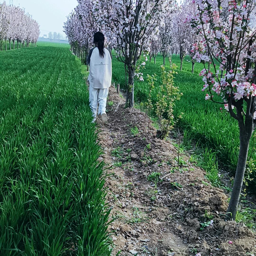 🍀🌴🌵勿忘我🙆