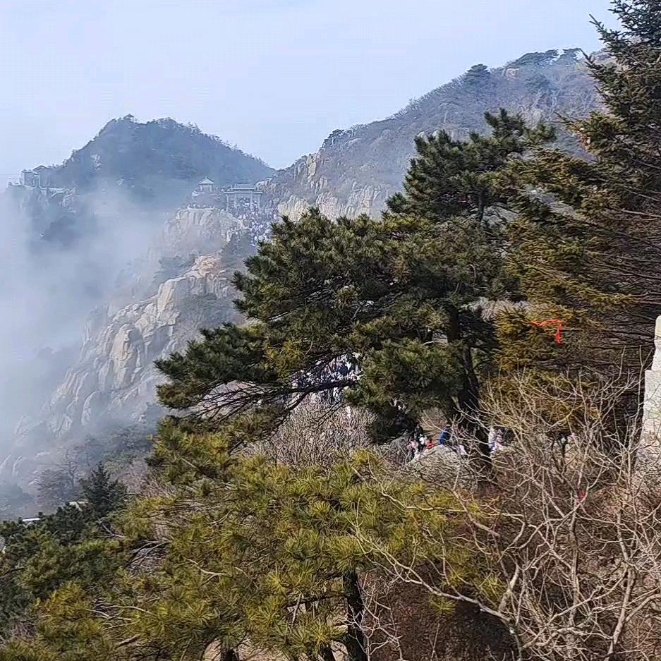 人要向前走