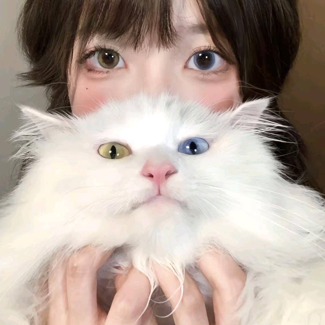 迢迢OvO