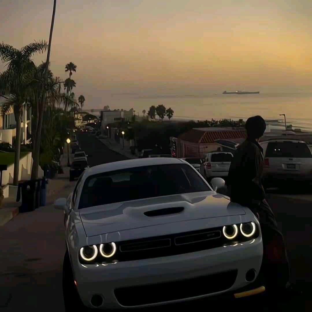 大司马的皮