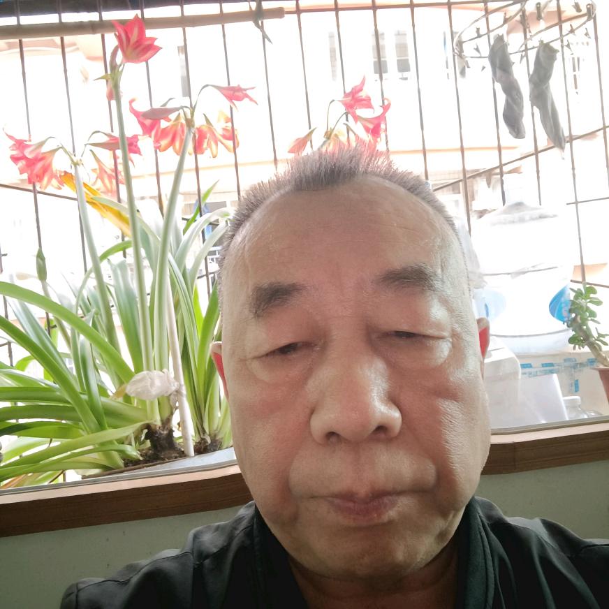 我叫可可爱鸭