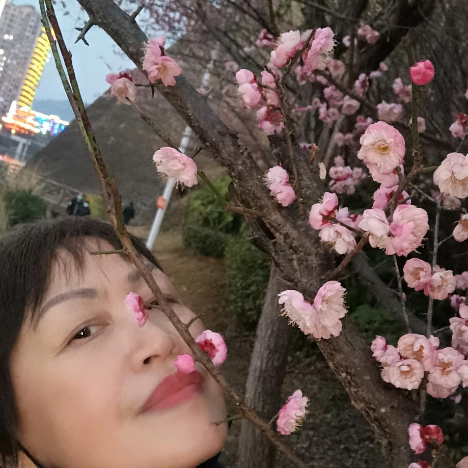 一路向阳