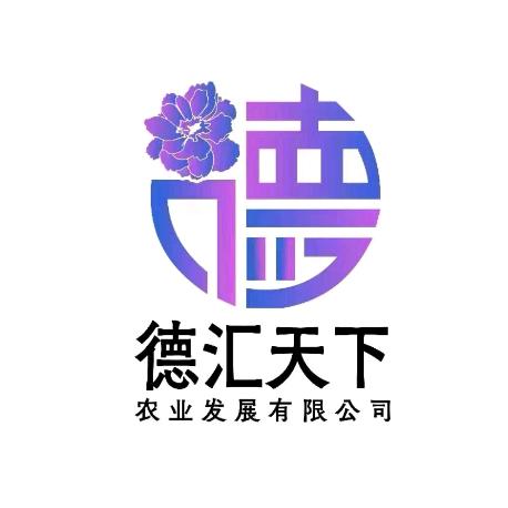 德汇天下-何老师①