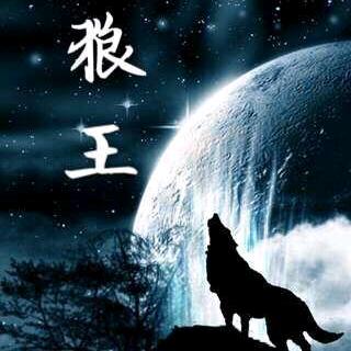 野狼