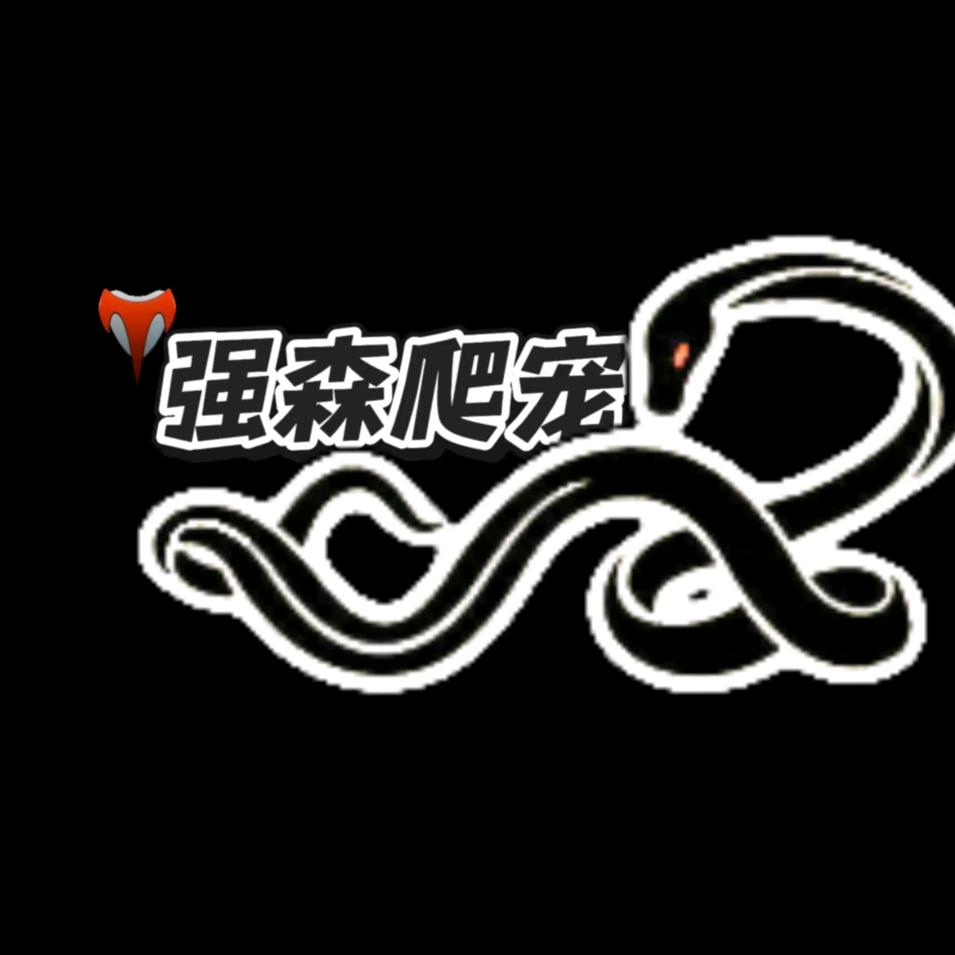 强森爬宠（收代理）
