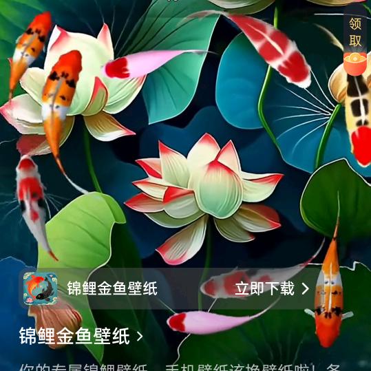 不信平台