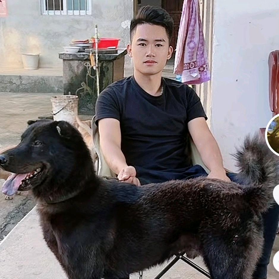 灵山二表哥，批发鸡🐔