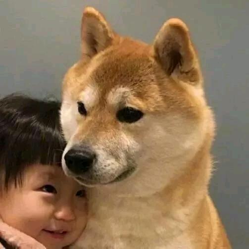 郭得不错.