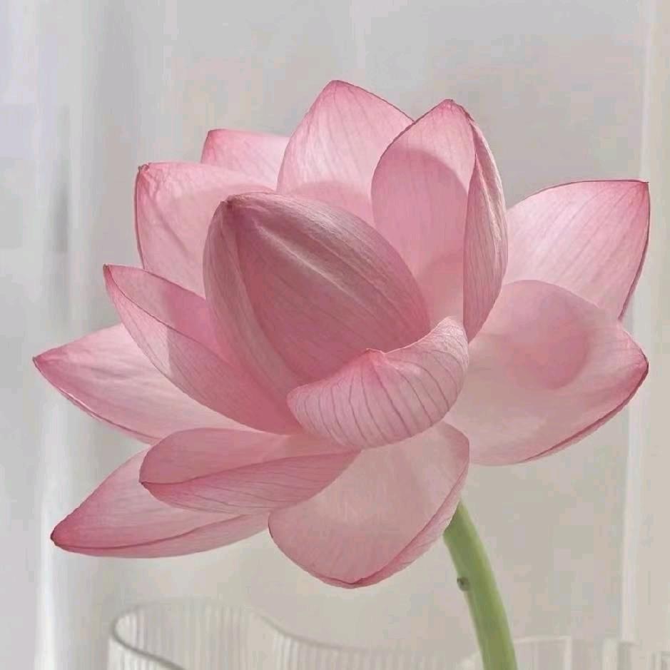 我昵称6