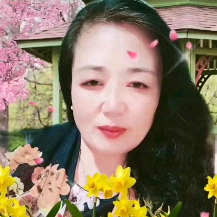 奔波的女人
