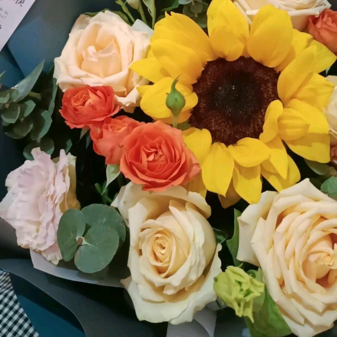 এ᭄汪菇凉ོꦿ࿐