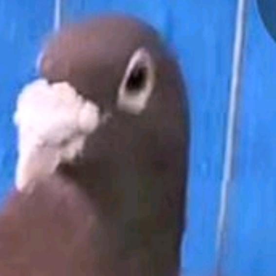 糕点奶茶