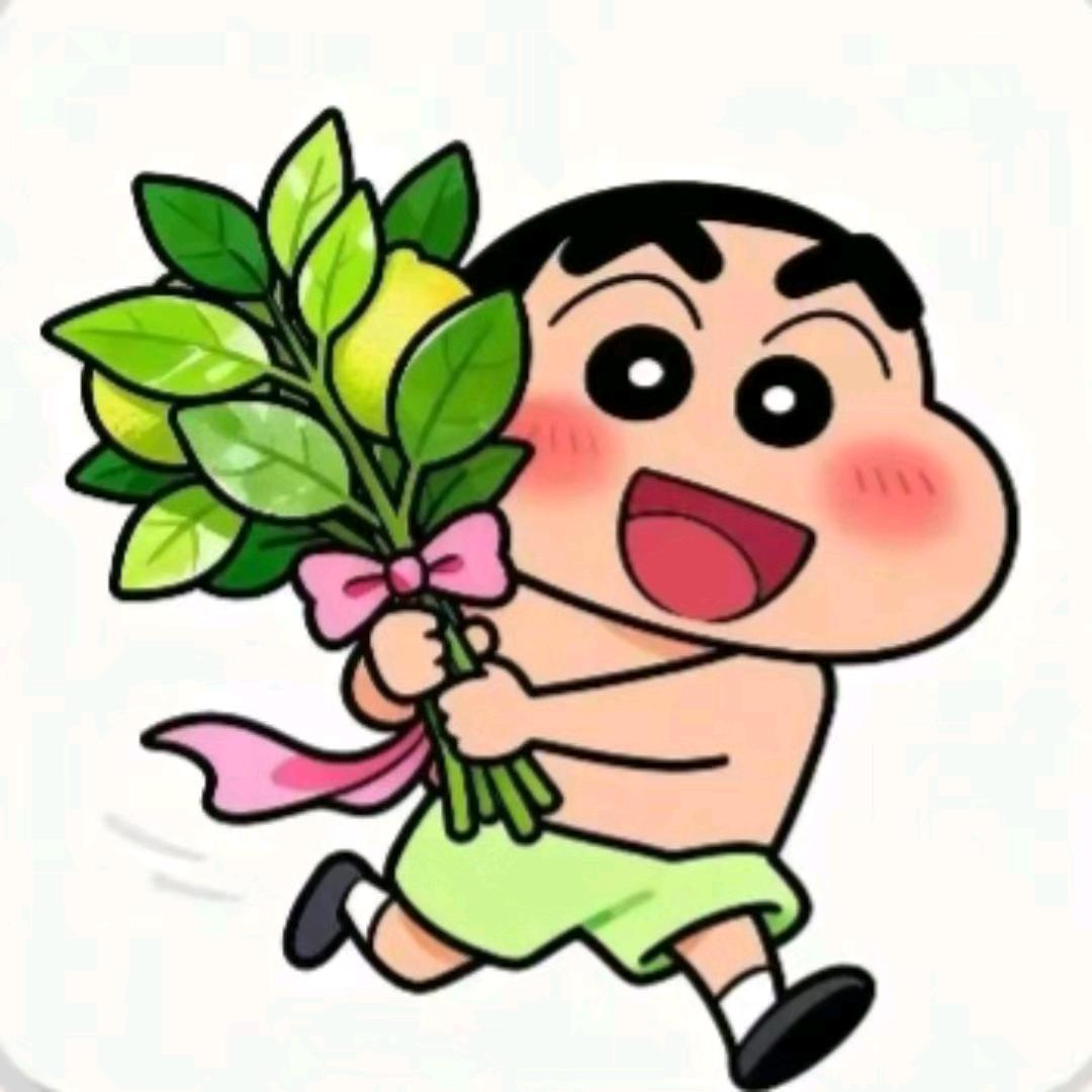 拉布拉多