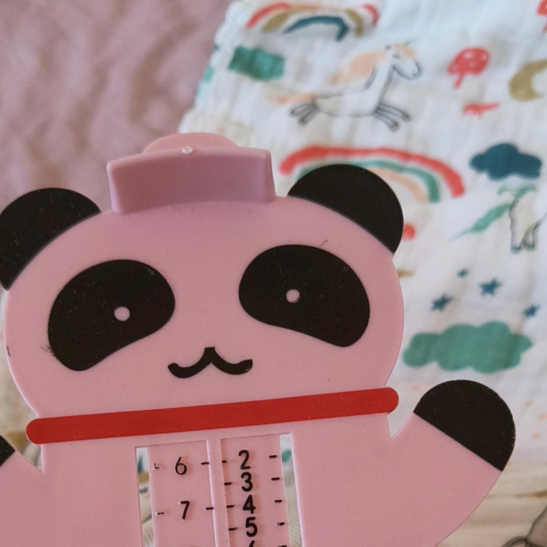 胖达