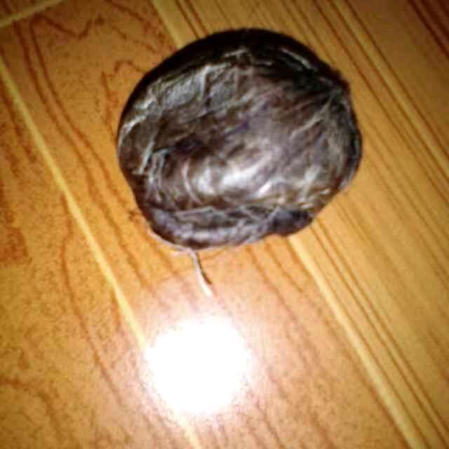 来八