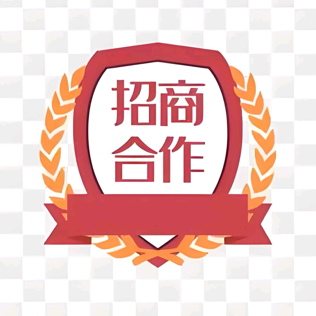 西安招商团队薛总