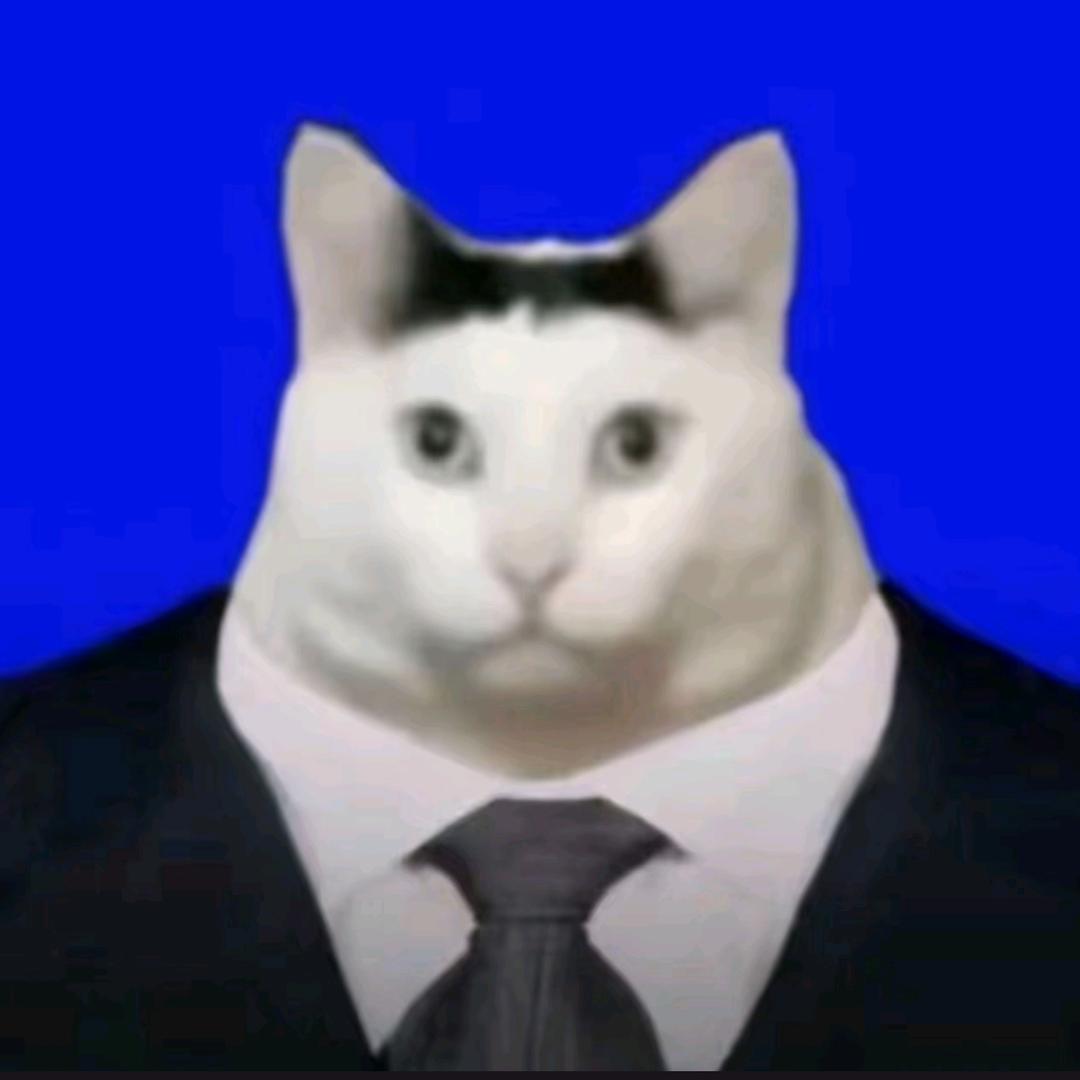 doro故事