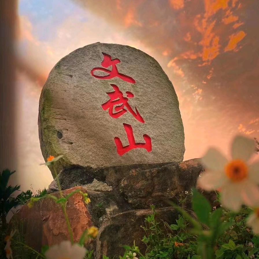 王飛飛