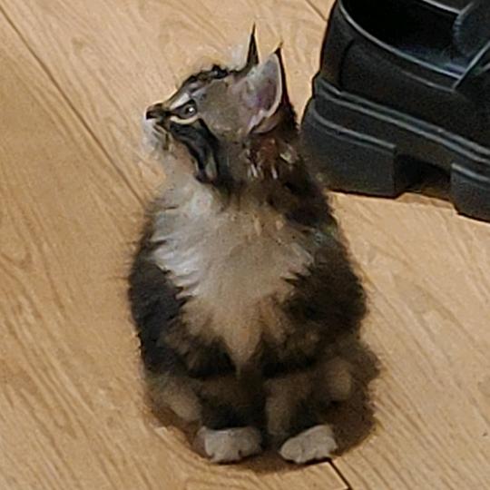 人有所操