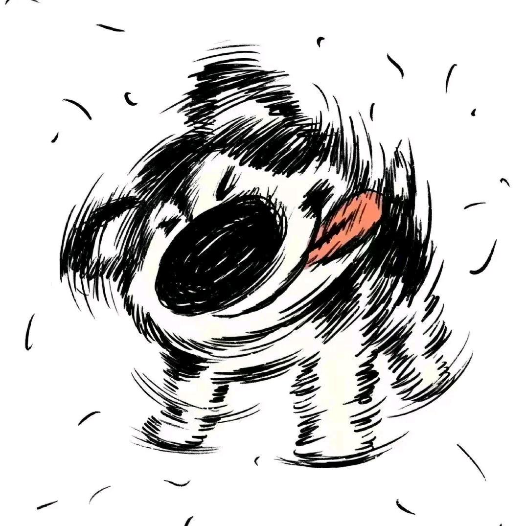 jzh