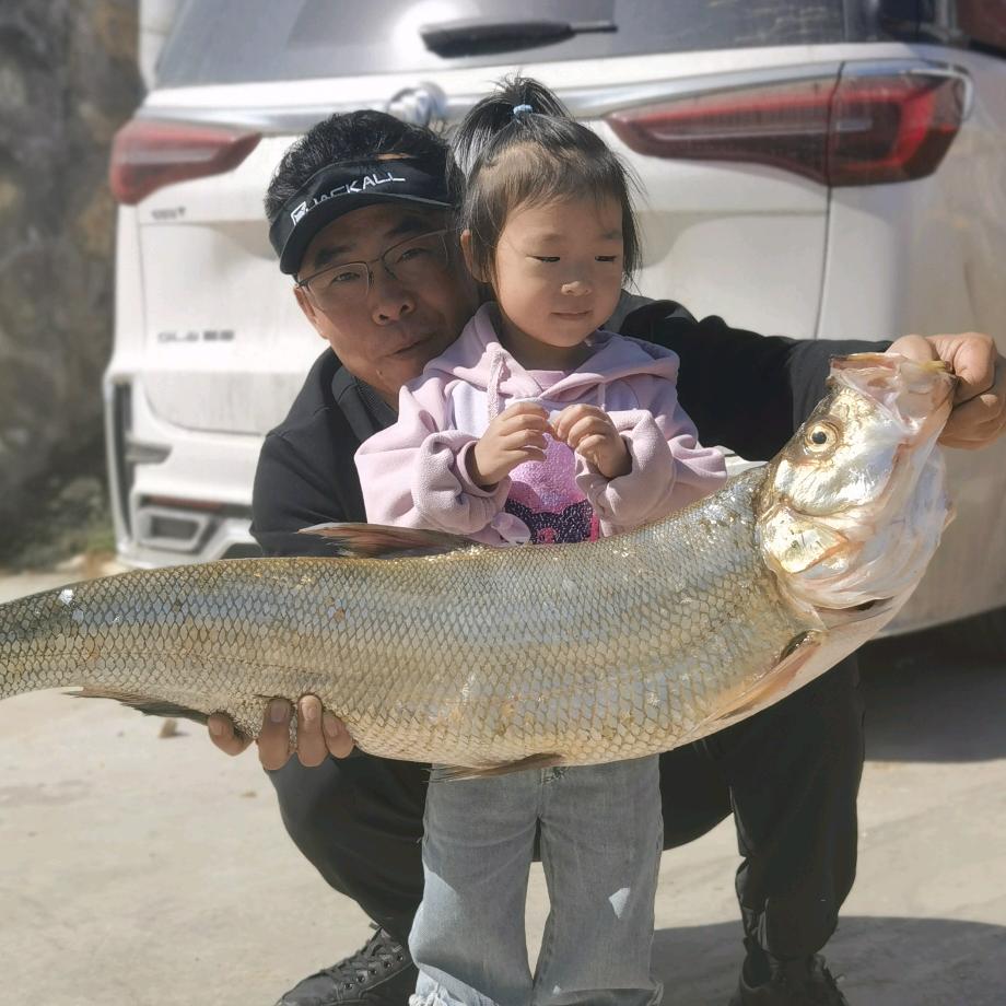 干山蚂蚁@🐜5号