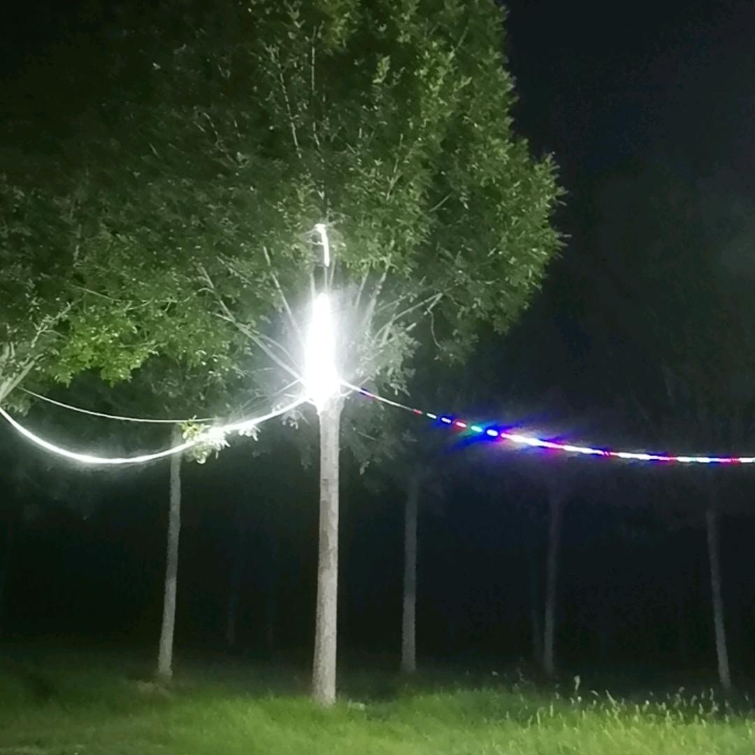 烟花是否能停留一秒