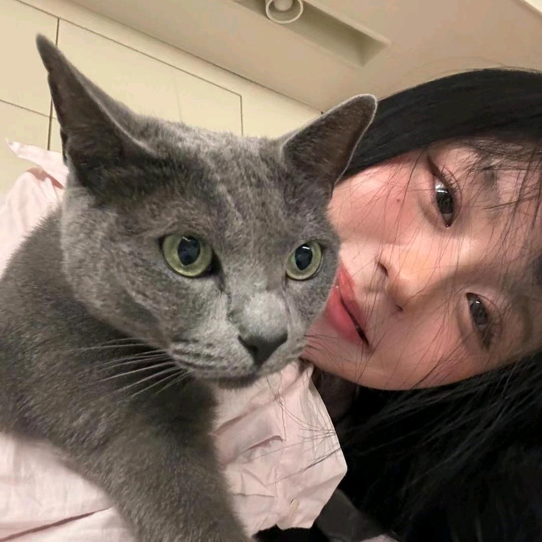 雪er🐈‍⬛‧₊˚⋆♡̷