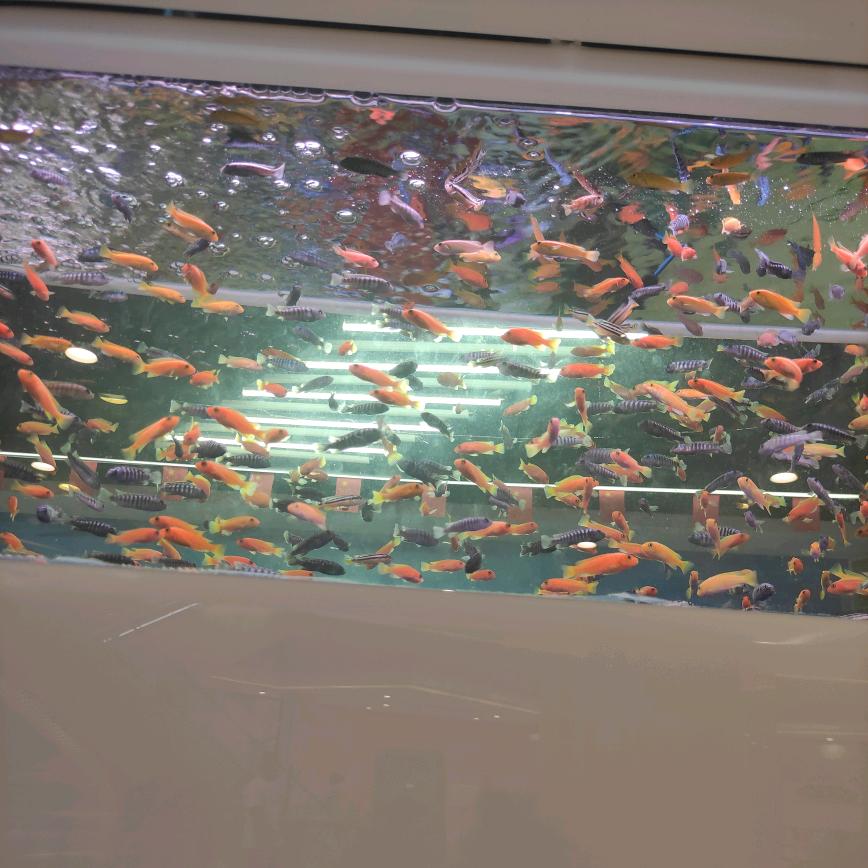 泗水火烧