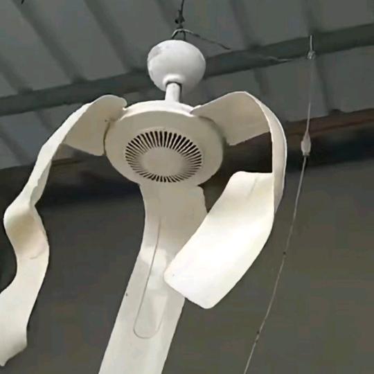 借我一枝春山