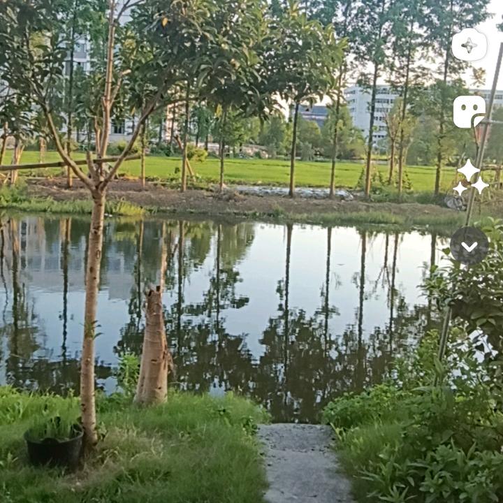 小林