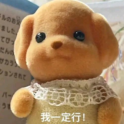 岁月情
