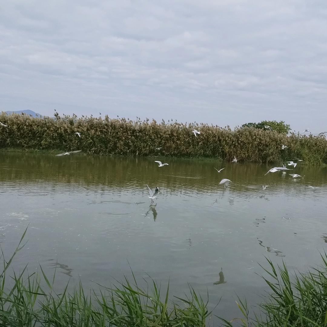 湖