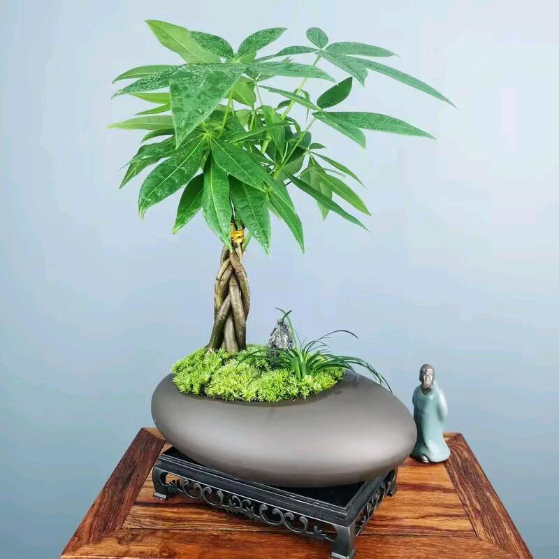 时运亨通☆