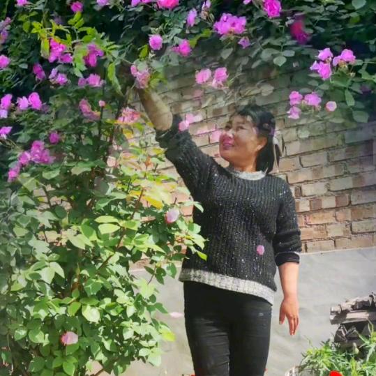 玉玲珑