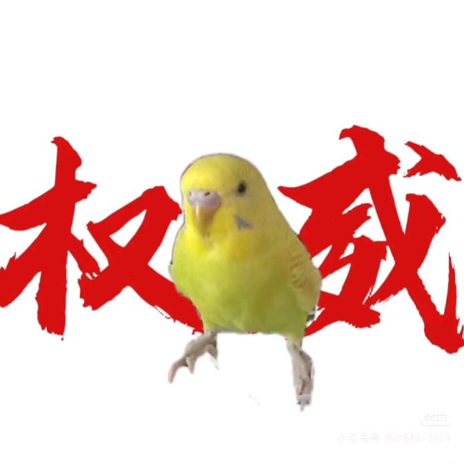 我是一只小小小小鸟。(O∆O)